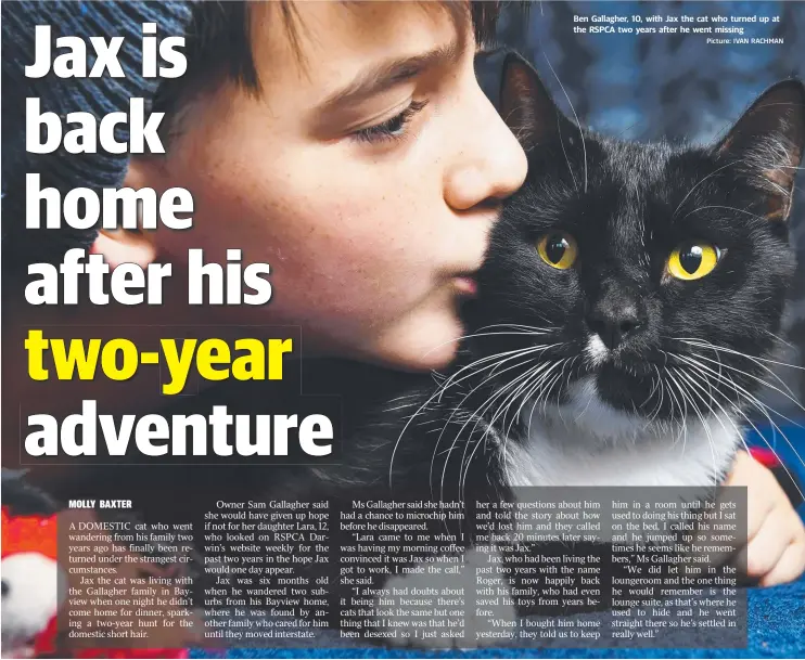  ?? Picture: IVAN RACHMAN ?? Ben Gallagher, 10, with Jax the cat who turned up at the RSPCA two years after he went missing