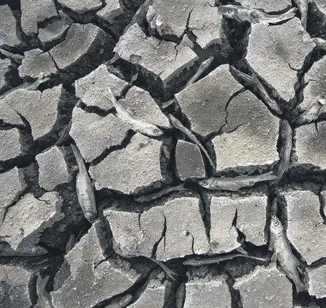  ?? ?? A view of the surface of the May Dam, which was hit by extreme drought in Konya, central Türkiye, March 11, 2024.