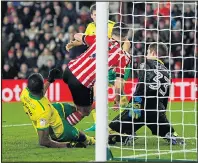  ??  ?? JOB DONE: Shane Long scores his late winner