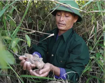  ?? CTV/CVN ?? Nguyên Công Xuân tient dans sa main deux poussins de héron.