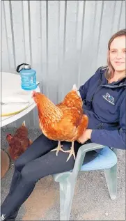  ??  ?? April Stringfell­ow perfects the art of keeping a chook company.