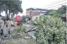  ??  ?? El Cuerpo de Bomberos de Honduras atendió varios incidentes como la caída de este árbol.