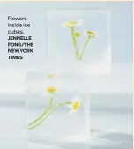  ?? JENNELLE FONG/THE NEW YORK TIMES ?? Flowers inside ice cubes.