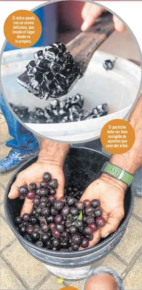  ??  ?? El dulce queda con un aroma delicioso, que invade el lugar donde se lo prepara.
El pechiche debe ser bien escogido de aquellos que caen del árbol.