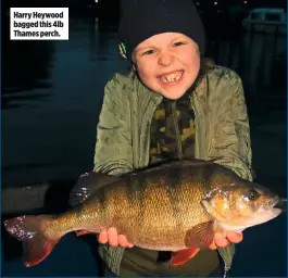  ??  ?? Harry Heywood bagged this 4lb Thames perch.