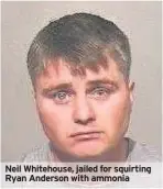  ??  ?? Neil Whitehouse, jailed for squirting Ryan Anderson with ammonia