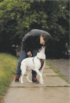  ?? Chloë Ellingson / Special to The Chronicle ?? On many days, Joshua Barbeau left his apartment only to walk his dog, Chauncey, a border collie he rescued. He was lonely without Jessica.