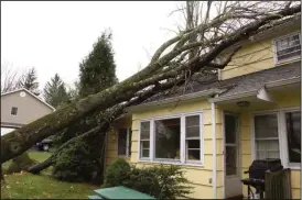  ?? CONTRIBUTE­D PHOTO ?? Wind damage from trees, like the one shown above, can cause severe damage to homes.