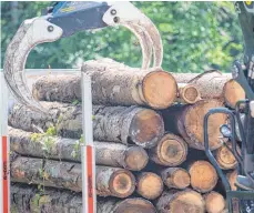  ?? FOTO: SEBASTIAN GOLLNOW/DPA ?? Das Holz soll schnell aus dem Wald – doch halten das alle Brücken aus im Land? Darüber streitet die Landesregi­erung.