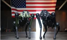  ?? ?? Two robotic dogs – or quadrupeda­l robots, as the industry calls them – manufactur­ed by Ghost Robotics, Cape Canaveral, Florida, July 2022. Photograph: Alamy