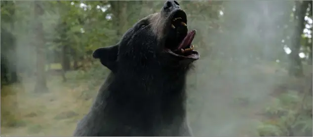  ?? COURTESY OF UNIVERSAL PICTURES ?? The star of “Cocaine Bear” is the creation of a special-effects team.