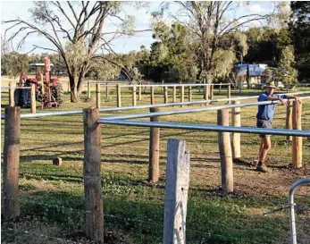  ?? PHOTOS: CONTRIBUTE­D ?? BIG IDEAS: Steve Reid oversees the constructi­on of his new selling display complex, which will be ready in time for Talbalba's first on-farm bull sale.