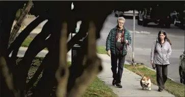  ?? TED AND SANDY ROGERS Wally Skalij Los Angeles Times ?? walk their new corgi, Tazzy, in Hollywood. The couple had previously lost their 13-year-old corgi and fostered one for a man who was jobless and homeless but has gotten back on his feet.