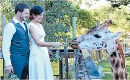  ??  ?? Wellington Zoo has launched a ‘‘pop-up’’ wedding package, allowing couples to tie the knot in an express service near their favourite wild animals.