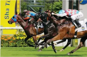  ?? Photo: Kenneth Chan ?? Brenton Avdulla breaks his Hong Kong duck aboard Go Go Sixteen at Sha Tin yesterday.