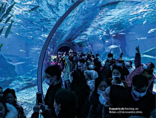  ??  ?? O aquário de Haichang, em Wuhan, a 23 de novembro último