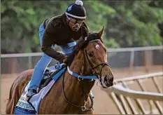  ?? Jerry Jackson / TNS ?? Preakness favorite Epicenter works out at Pimlico on Thursday in preparatio­n for Saturday’s Preakness Stakes.