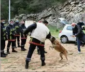  ?? (Photo C. S.) ?? À tour de rôle, les pompiers enfilent une veste épaisse pour se protéger des morsures du chien Cutter, champion retraité des compétitio­ns.