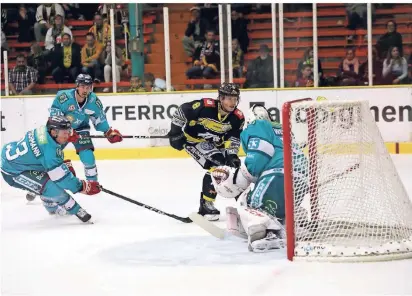  ?? FOTO: LAMMERTZ ?? Mathias Trettenes, der hier das DEG-Tor in Gefahr bringt, vertritt heute beim Medientag der Deutschen Eishockey Liga in Mannheim die Pinguine.