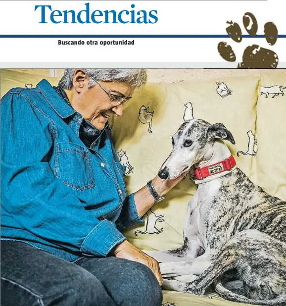  ??  ?? Teresa Pallarés posa en su casa de Esplugues con su galga Delia, abandonada en Sevilla y que acaba de adoptar