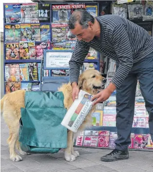  ?? ARCHIVO-LANUEVA ?? “Mi fiel amigo Buddy”. Alberto posaba en 2013 con su perro, parte de su familia.