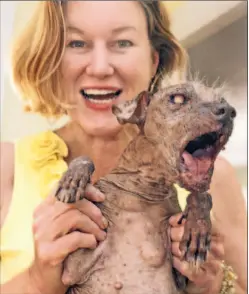  ?? Anne Cusack ?? Susie Lockheed holds Sam, a pedigreed Chinese crested, and a three-time champion in the World’s Ugliest Dog Contest.