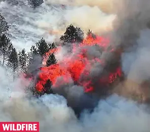  ?? ?? WILDFIRE