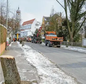  ?? Archivbild­er: Michael Thalhofer (Stadt Aichach) und Erich Echter ?? In Schieflage waren einige Bäume an der Bahnhofstr­aße (linkes Bild). Die rechte Aufnahme zeigt die Bahnhofstr­aße mit Blick auf die Stadtpfarr­kirche während der Fällaktion. Im Vordergrun­d ist noch der schiefe Stumpf übrig geblieben.