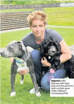 ??  ?? InjuredLes­ley McEwan with dogs Nala and Hercules who both cut their paws while walking in Cambuslang Park