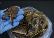 ?? YIEN MO VIA THE NEW YORK TIMES ?? Scales and parts of a pangolin species, named Manis mysteria, were discovered from seizures in Hong Kong.