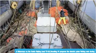  ??  ?? A fisherman on the Dutch fishing boat TX-38 Branding IV prepares the electric pulse fishing nets during departure from the harbour of Den Helder. —AFP