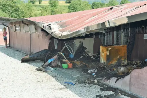  ??  ?? Dopo l’incendio I resti del canile di Lipomo nei pressi di Como. Morti quattro animali, altri venti sono stati salvati. Sul rogo indagano i carabinier­i (foto Cusa)
