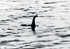  ?? ?? The best known Loch Ness photo is the one of a purported head and neck. Aged 7, I identified this creature. It was a plesiosaur.