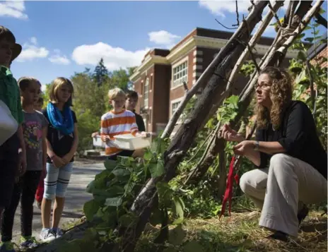  ?? PETER POWER PHOTOS FOR THE TORONTO STAR ?? Grade 4/5 teacher Monique Cadieux harvests vegetables in a school garden with her students. She earned an Honourable Mention in the Star’s awards.