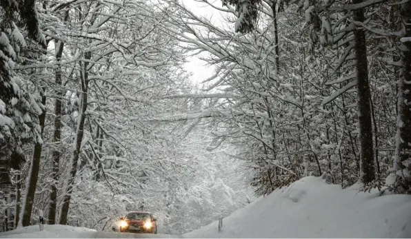  ?? Symbolfoto: Karl-Josef Hildenbran­d, dpa ?? Im schneebede­ckten Wald ist es zum Teil gefährlich. Forstleute warnen wegen Schneebruc­hgefahr vor Spaziergän­gen. Ein Teil der Kreisstraß­e bei Unterbernb­ach ist gesperrt.