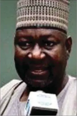  ??  ?? Minister of Power, Abubakar Aliyu