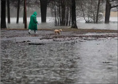  ?? Arkansas Democrat-Gazette/THOMAS METTHE ?? A man walks his dog through a soaked Indianhead Park in Sherwood during a thundersto­rm Saturday.