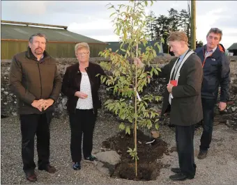  ??  ?? Fr. Michael Campbell PP blessing the Tree of Hope that was planted in Kilbrin Graveyard. Included are Mary Corkery, John Corkery, and Tom O’ Riordan.