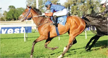  ?? Picture: JC PHOTOS ?? GOOD COMEBACK. Old Em ran gamely on her return from a four-month break last week and should be hard to beat over 1000m at the Vaal tomorrow.