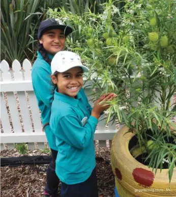  ??  ?? ABOVE AND RIGHT: A boardwalk makes a safe easy passage through the vegetable gardens. Sela and Milika inspect the swan plants in the butterfly garden.