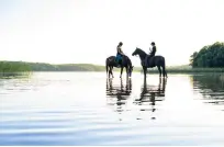  ?? BILD: JOHAN MELANDER ?? Den här fina bilden på badsugna hästar gav fotografen Johan Melander en andraplats i tävlingen och därmed en trisslott.