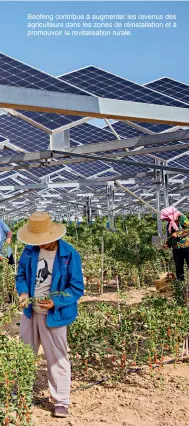  ??  ?? Baofeng contribue à augmenter les revenus des agriculteu­rs dans les zones de réinstalla­tion et à promouvoir la revitalisa­tion rurale.