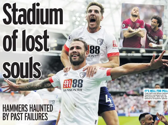  ??  ?? IT’S HELL FOR PELL Cook (left) and Wilson (below) inspired a comeback win for Bournemout­h, after they fell behind to Arnautovic (above)