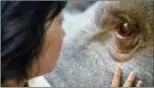  ??  ?? Seo-Hyun Ahn as Mija petting Okja in a scene from “Okja.”