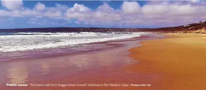  ?? /Pictures: Nick Yell ?? Pristine marine: . The beach walk from Boggomsbaa­i towards Vleesbaai in the Western Cape.