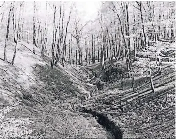  ?? BILDER: STADT DUISBURG/WIKIPEDIA ?? Marienborn: Blick in die zur Ruhraue abfallende Schlucht. Auf der Ostseite des Kaiserberg­es tritt an der Sedanwiese noch heute eine Quelle aus, deren Wasser in eine Schlucht zum Ruhrtal hin abfließt.