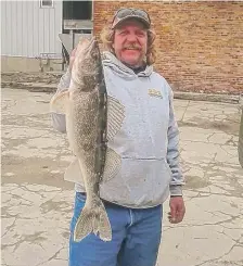  ?? | FOR SUN-TIMES MEDIA ?? Dennis Van Meenen still has the mount of the verified record for biggest sauger caught on the Illinois River (upper right), though he thinks Joe Miller (holding sauger) caught a bigger one March 28 in nearly the same spot he landed his 28 years earlier.