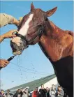  ?? CHARLIE RIEDEL THE ASSOCIATED PRESS ?? Justify gets a bath after a morning workout at Churchill Downs. The Kentucky Derby is Saturday.