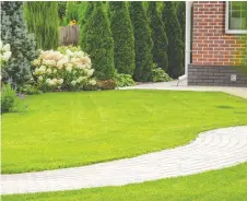  ??  ?? A perfectly manicured lawn may look nice, but keeping it in pristine condition can have detrimenta­l effects on the environmen­t.