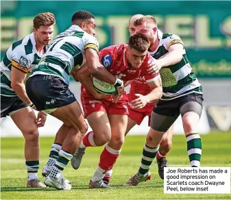  ?? ?? Joe Roberts has made a good impression on Scarlets coach Dwayne Peel, below inset